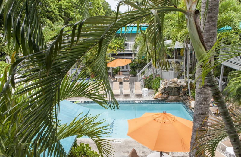 Outdoor pool at Eden House.