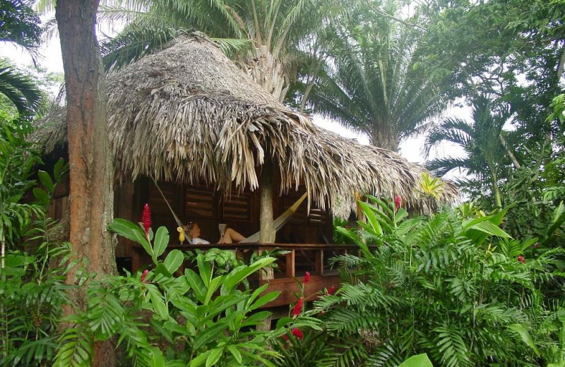 Exterior at Lamanai Outpost Lodge.