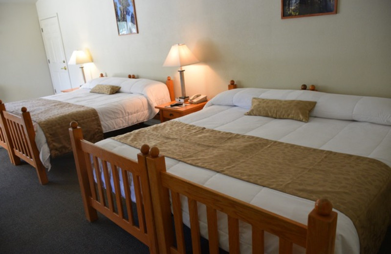 Guest Room at Wonder Valley Ranch Resort