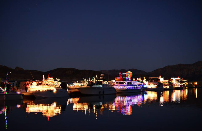 Holiday lights at Callville Bay.