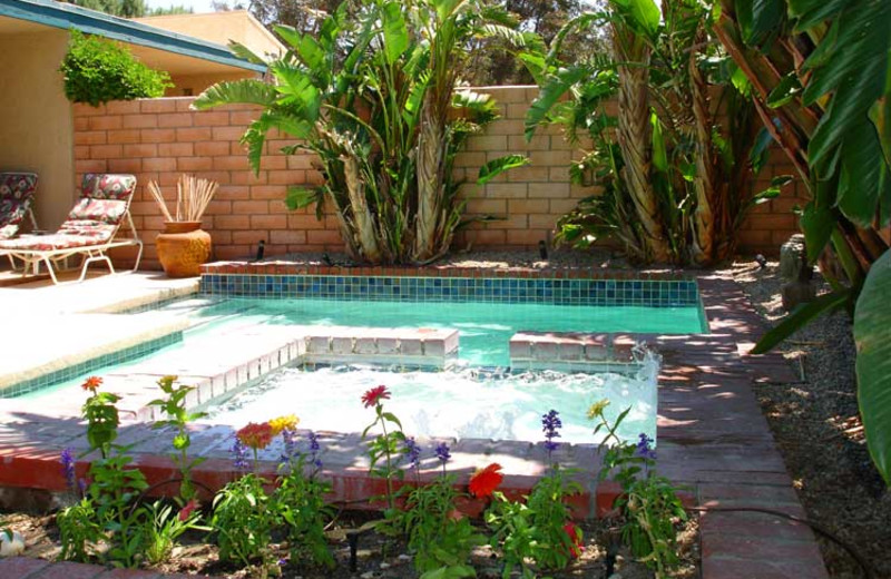 Outdoor pool at Private Villa Management.