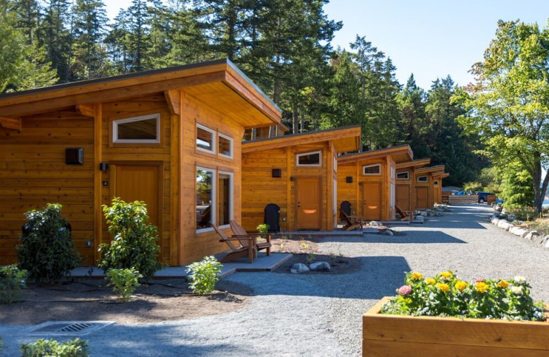 Cabins at Snug Harbor Marina Resort.