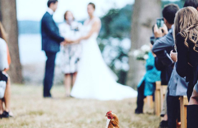 Wedding at Pebble Cove Farm.