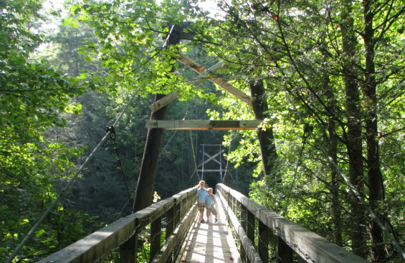 Draw bridge at Copperhead Lodge.