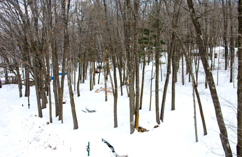 Winter time at Tri Lake Timbers Resort.