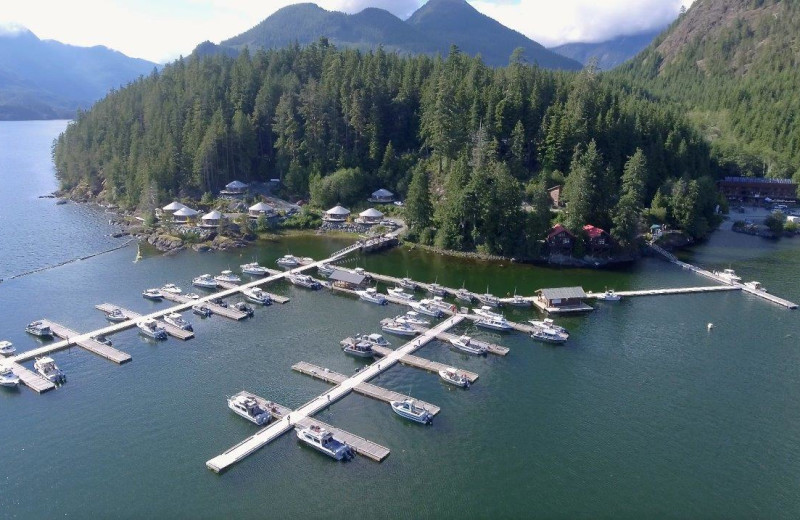 Aerial view of Nootka Marine Adventures.