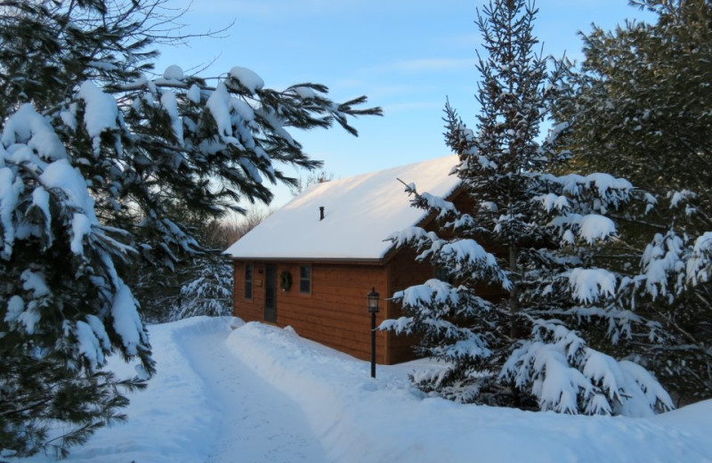 Tamarack Cabin during winter at Chanticleer Guest House.