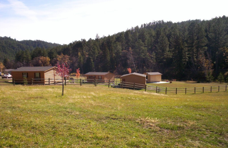 Cabins at American Pines Cabins.