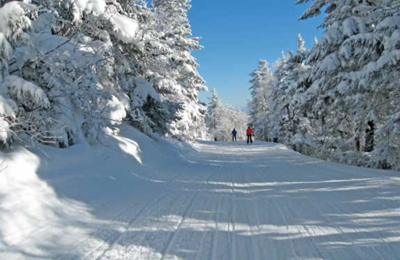 Skiing at Birch Ridge Inn.