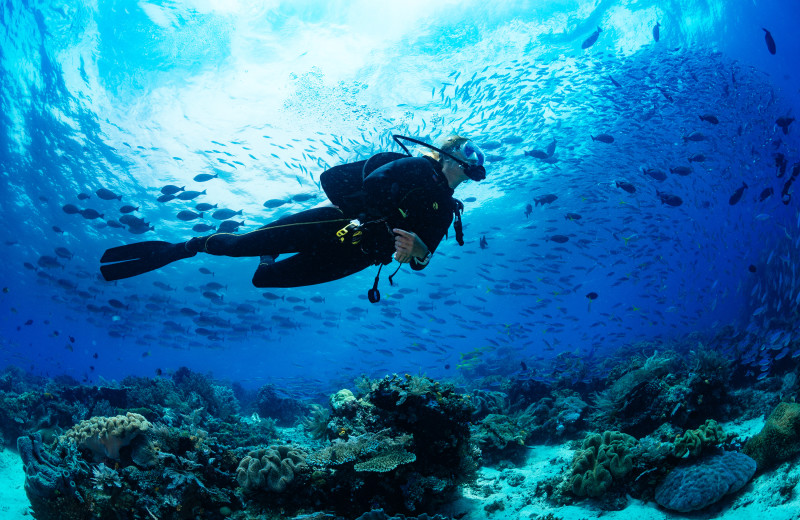 Diving at Beach House Inn and Suites.