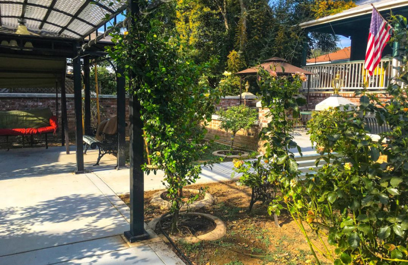 Garden at Americas Best Value Inn 