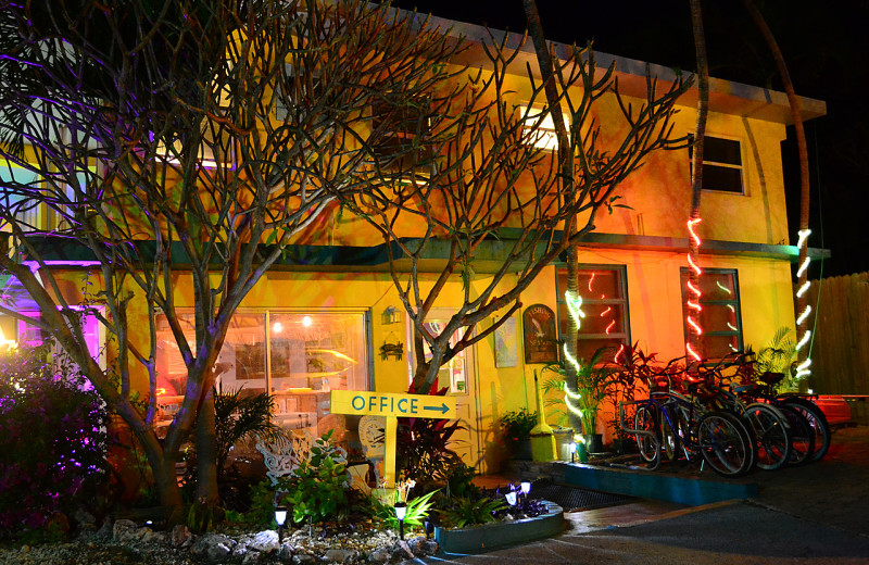 Holiday lights at La Jolla Resort Hotel.