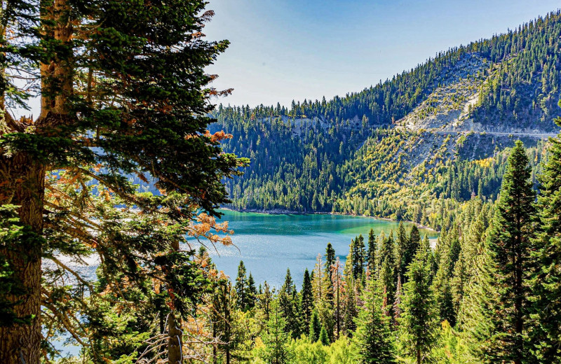 Lake at Tahoe Beach 