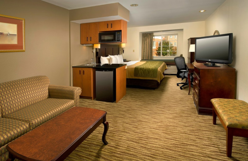 Guest room at Comfort Inn and Suites Dulles.