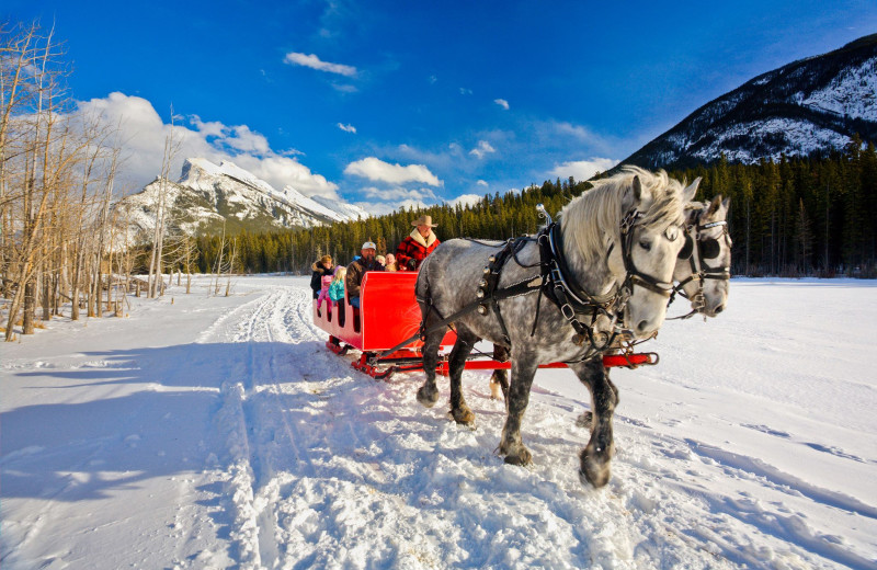 Sleigh ride at Banff Trail Riders.