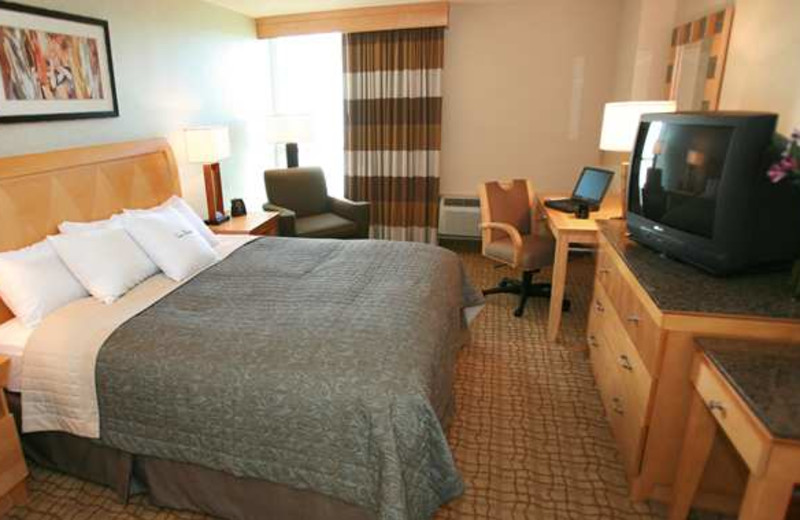 Guest Room at Doubletree by Hilton