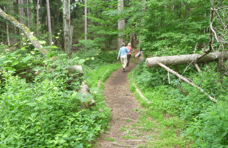 Hikes at Deerfield Spa.
