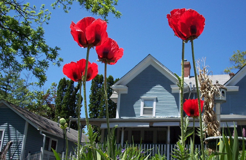 Exterior view of Inn on Main Street.