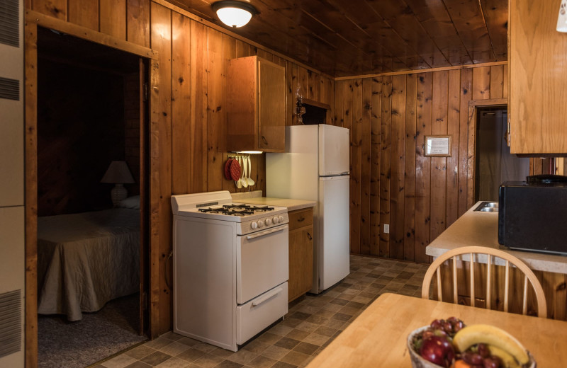 Cabin kitchen at Pitlik's Sand Beach Resort.