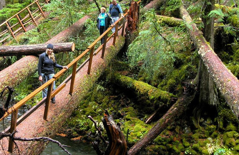 Hiking at Breitenbush Hot Springs.