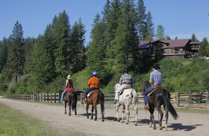 Red Horse Mountain Ranch (Harrison, ID) Resort Reviews