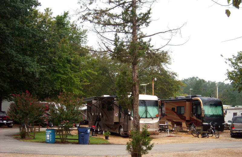 Copper John's Resort (Lakeview, AR) Resort Reviews