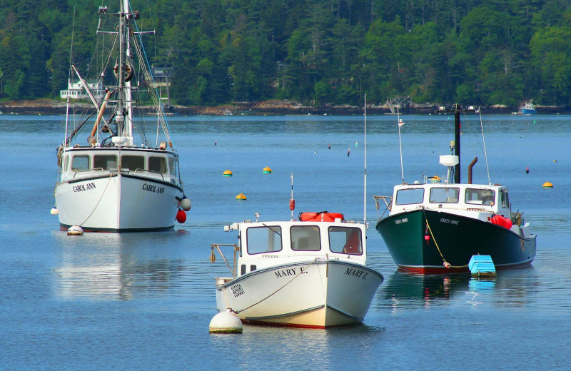 Fishing at Harbour Towne Inn on the Waterfront.