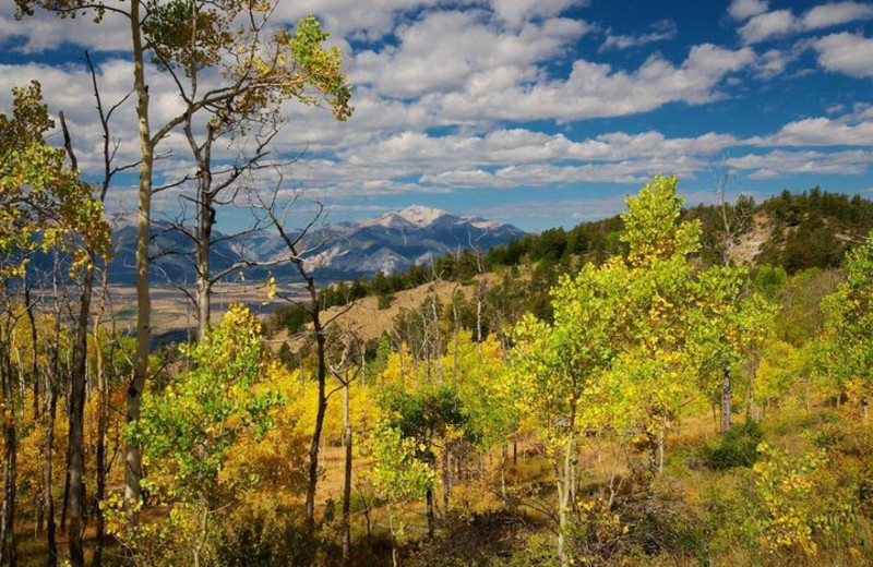 Mountain view at Elk Mountain Ranch.