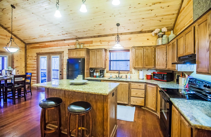 Cabin kitchen at Blue Beaver Luxury Cabins.