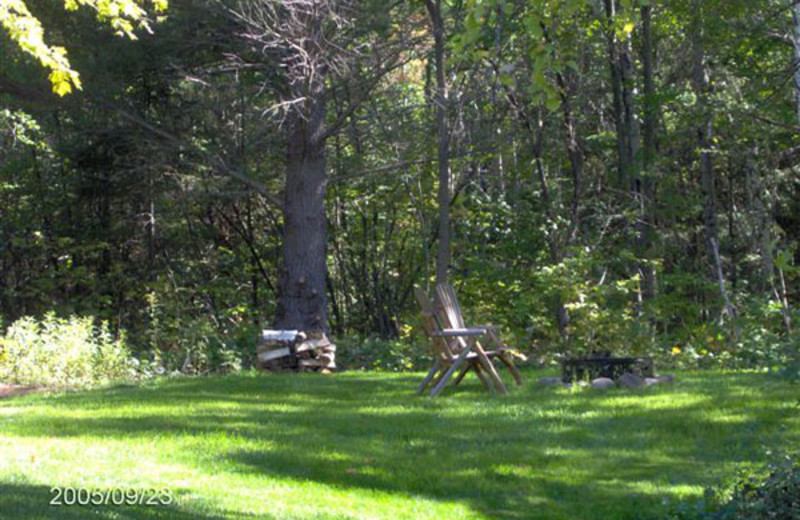 Cottage yard at Woodside Cottages of Bayfield.