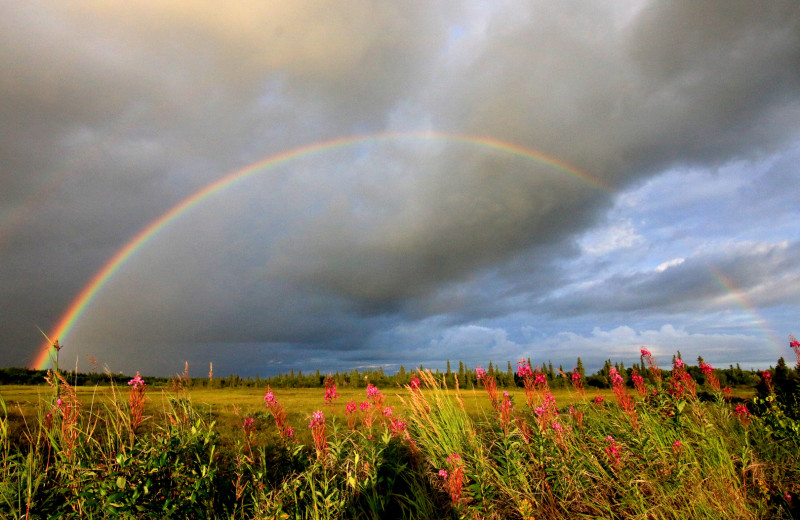 Rainbow at King Salmon Lodge.