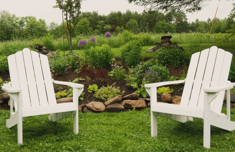 Garden at The Colonial House.