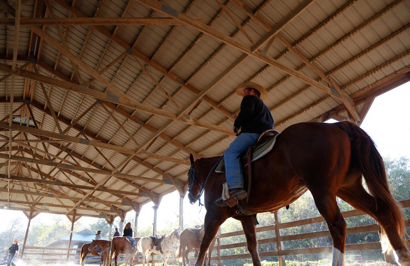 Horse ranch at YMCA Trout Lodge & Camp Lakewood.