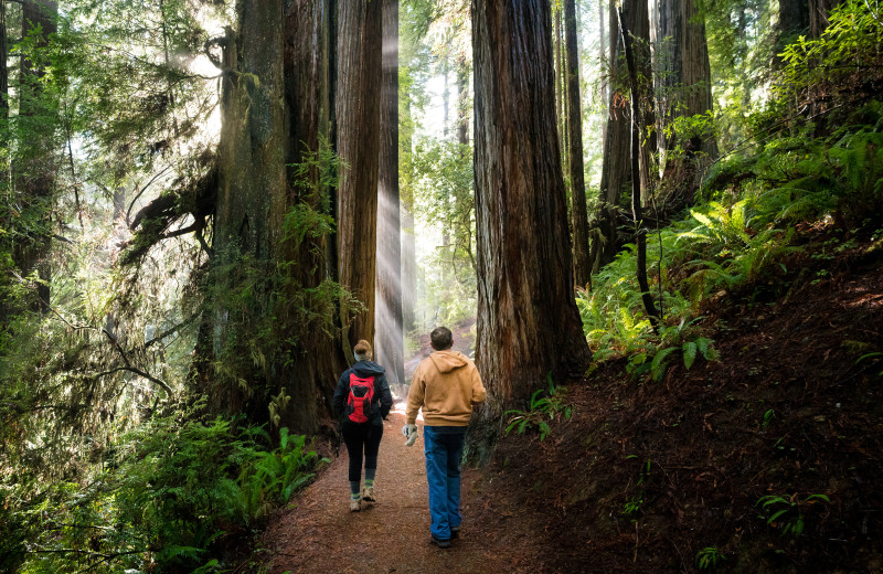 Hiking near Redwood Coast Vacation Rentals