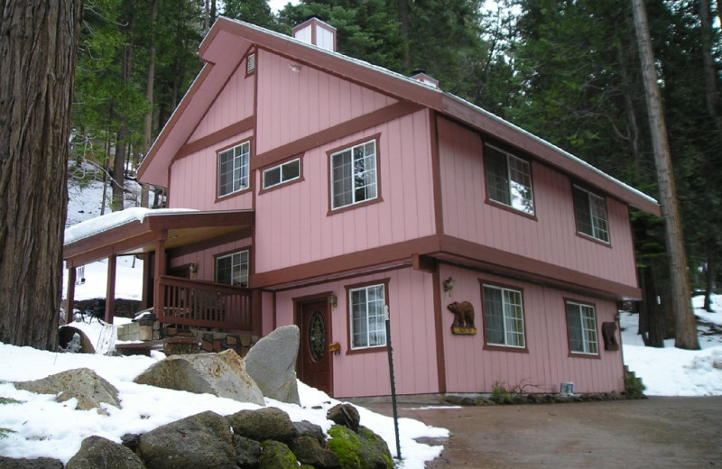 Exterior view of Cozy Bear Cottages.