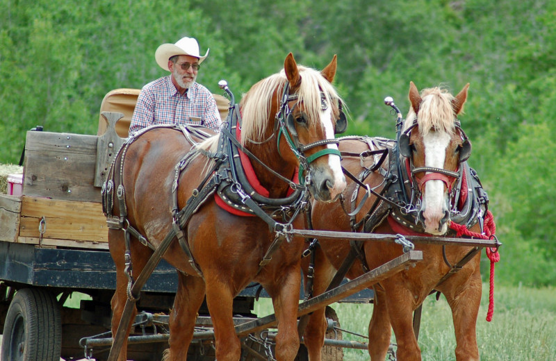 Wagon ride at  Sylvan Dale Guest Ranch.