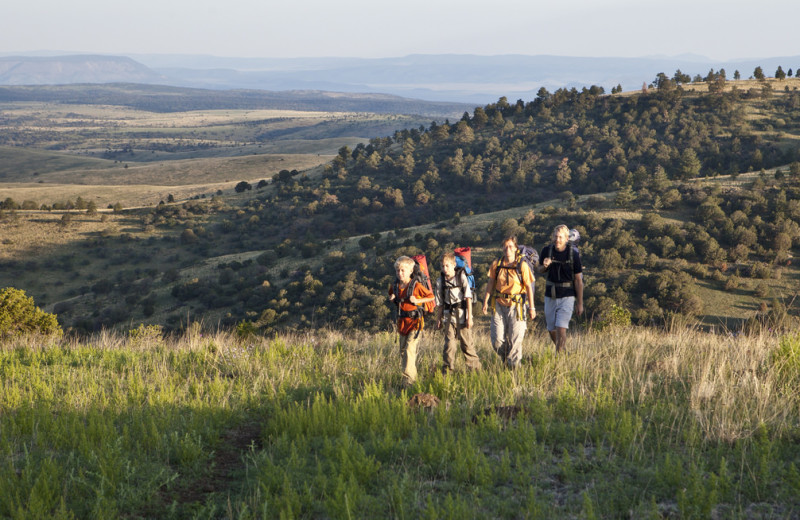 Hiking at Island Park Reservations.