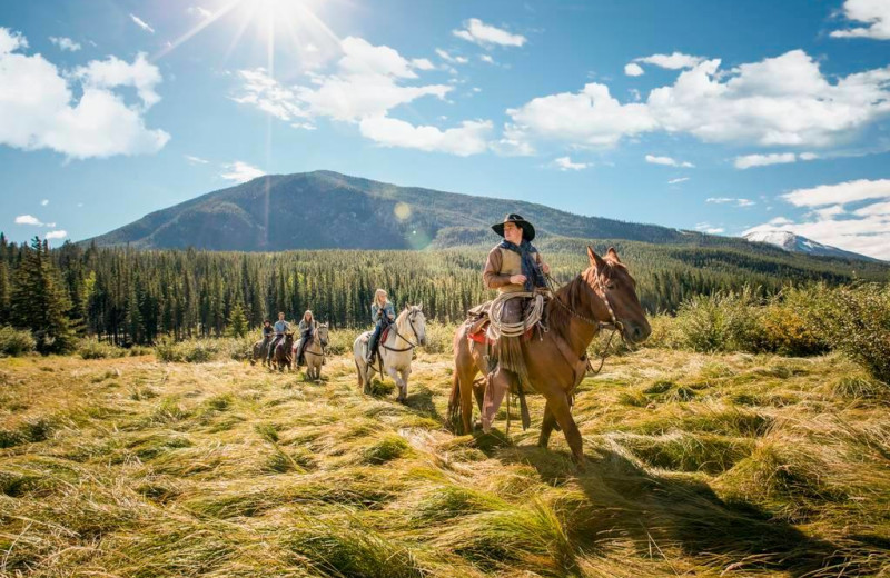 Horseback riding at Banff Trail Riders.