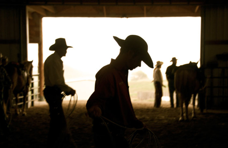 Cowboys at Colorado Cattle Company Ranch.