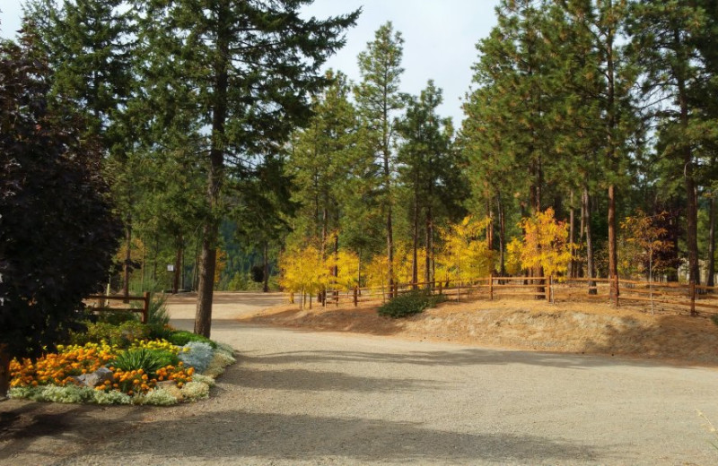 Grounds at Powers Creek Retreat.