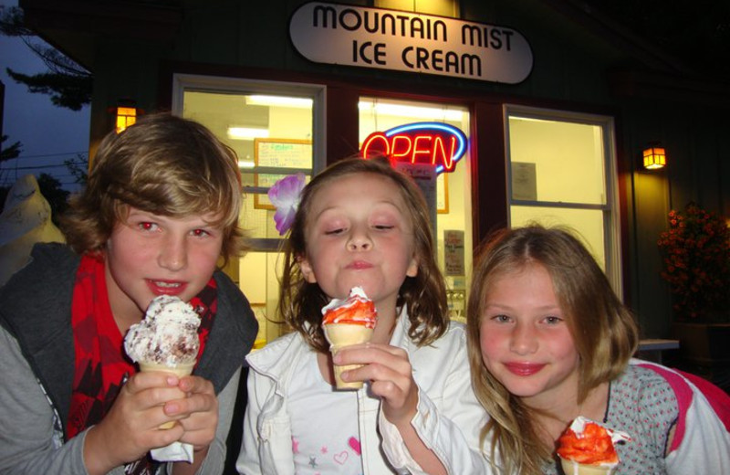 Ice cream shop nearby Wildwood on the Lake.