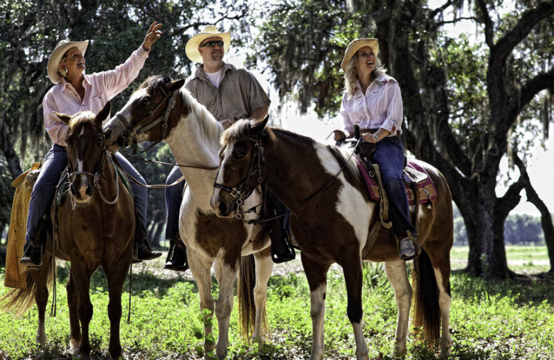 Horseback riding at Westgate River Ranch Resort & Rodeo.