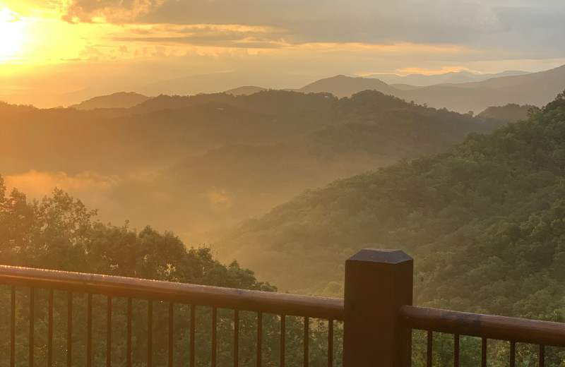 View from Black Bears & Biscuits Lodge.