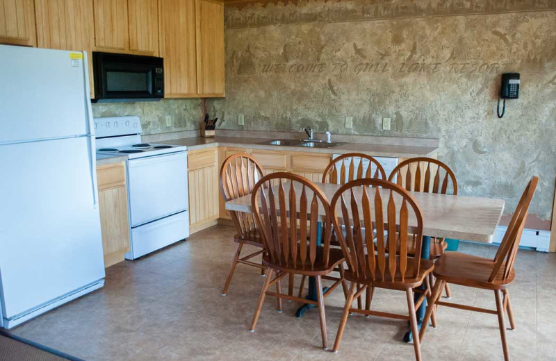 Cabin kitchen at Gull Lake Resort.