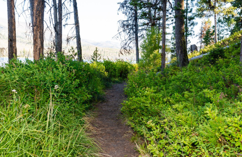 Trail at North Shore Lodge & Resort.