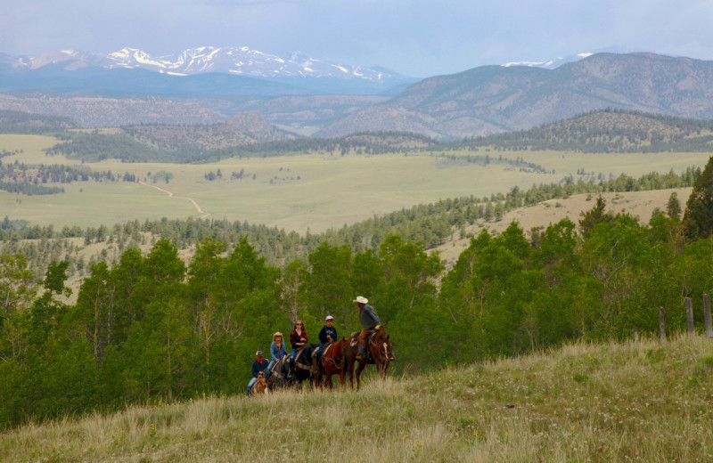 Riding at Elk Mountain Ranch.