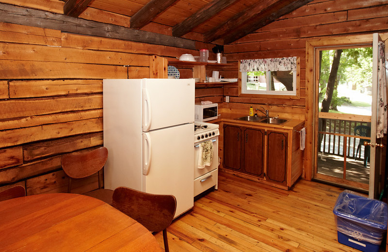 Cabin kitchen at Fernleigh Lodge.