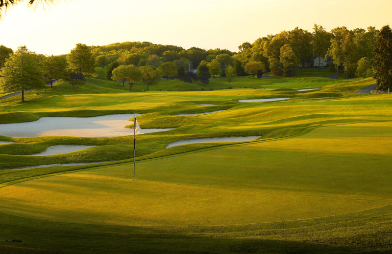 Glenmoor Jack Nicklaus Signature Golf Course near Gervasi Vineyard.