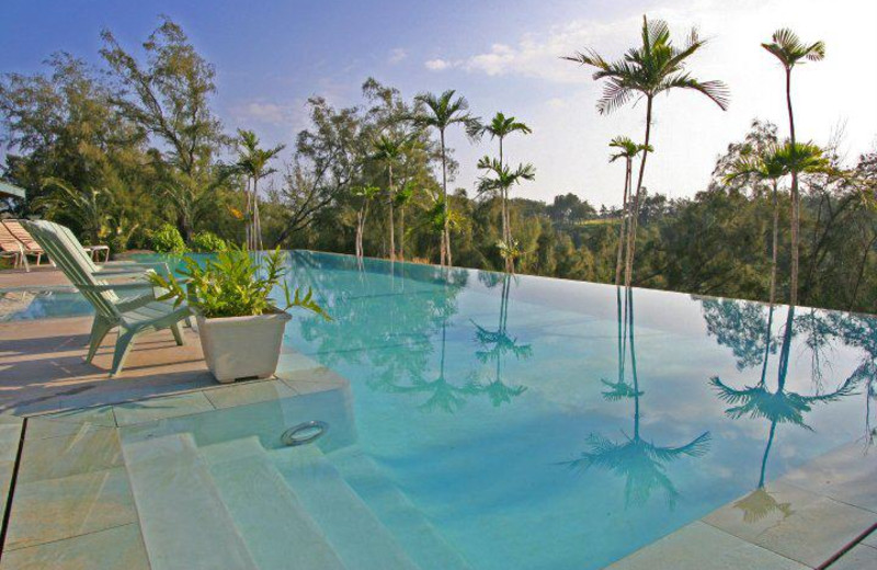 Infinity pool at Hawaii Island Retreat.