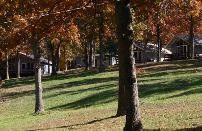 Cabins at Indian Trails Resort.